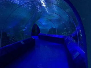 Akvariumo tunelio 180 ar 90 laipsnių akrilo plokštės