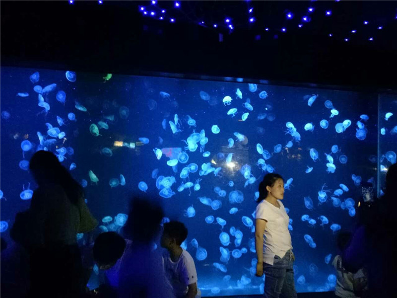 2018 akrilo medūzos akvariumo bako stiklas