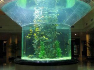 pmma stiklo akvariumas pusė cilindro perspex aiškus žuvų bakas