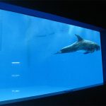 aukštos kokybės didelis akrilo akvariumas / baseino langas povandeninis storas langų lapas
