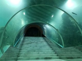 Akrilo tunelio akvariumo projekto kaina