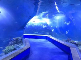 Skaidrus PMMA akrilas Didelis akvariumo plastikinis tunelis