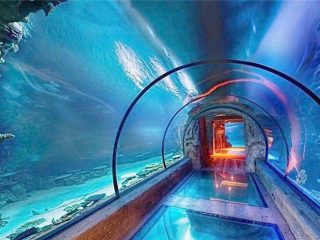 Modernus akrilo akvariumo ilgio tunelis