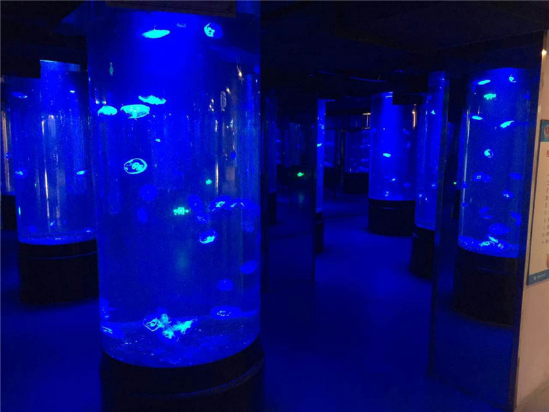 Akrilo medūza akvariumo bako stiklas