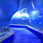 skaidrus akrilo stiklo tunelio akvariumas